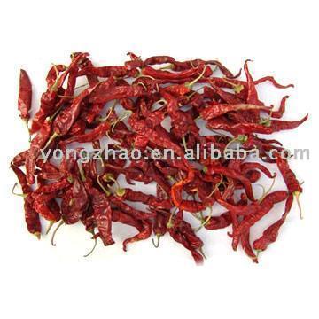  Taonan Chili ( Taonan Chili)