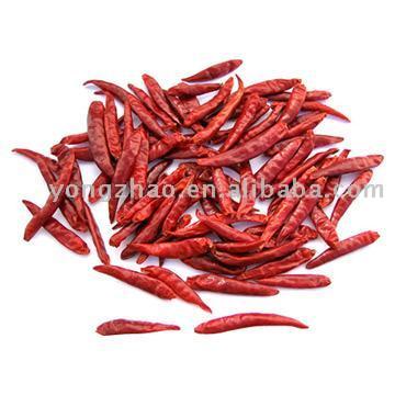  Tianying Chilli Stemless