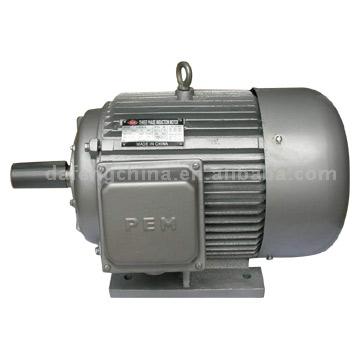  Three Phase Electric Motor ( Three Phase Electric Motor)