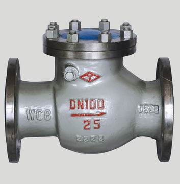  Cast Steel Check Valve ( Cast Steel Check Valve)