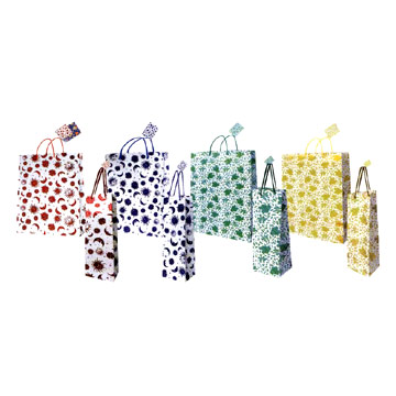  Shopping Bag (Shopping Bag)