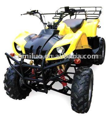  150cc Tomahawk MC Quad Bike Mini ATV (150cc MC Tomahawk Bike Mini Quad ATV)