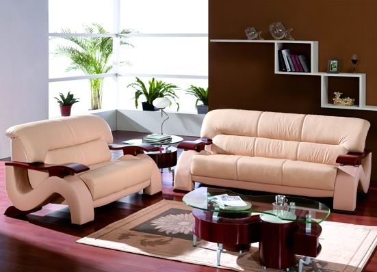  Leather Sofa (Leather Sofa)