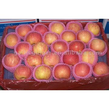  Yaitai Apples