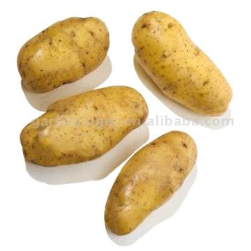  Potatoes (Pommes de terre)