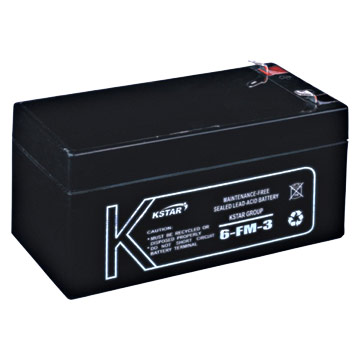  Sealed Lead Acid Battery (Versiegelte Blei-Säure-Batterie)
