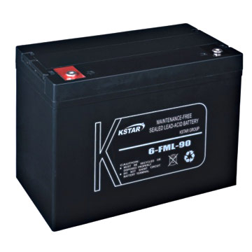  Sealed Lead Acid Battery (Versiegelte Blei-Säure-Batterie)