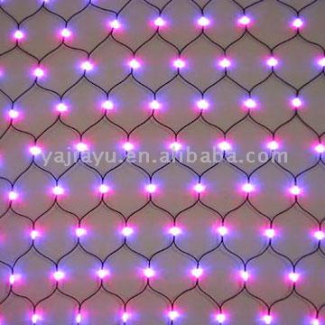  LED Net Lights (Светодиодные Чистый Свет)