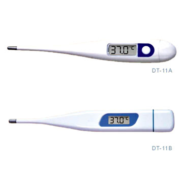  Digital Thermometers