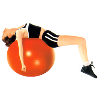  Gym Ball ( Gym Ball)