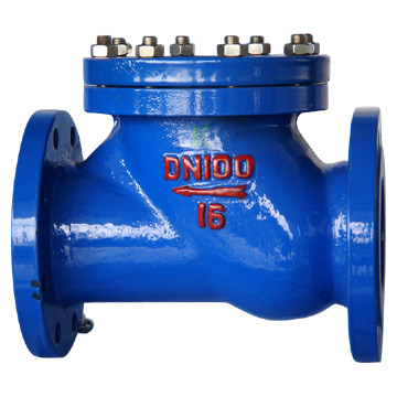  Ball Type Check Valve ( Ball Type Check Valve)