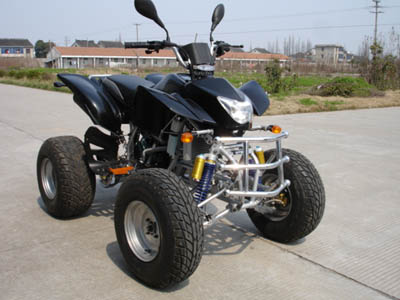  250cc Water-Cooled ATV with EEC ( 250cc Water-Cooled ATV with EEC)
