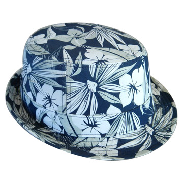  Shaped Hat (Shaped Hat)