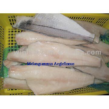  Supply Frozen Haddock Fillets (Поставка замороженных Пикша Филе)