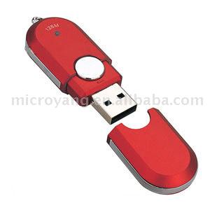  USB Disk