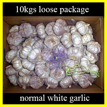  Normal White Garlic (Hybrid Garlic) (Plein ail blanc (hybride à l`ail))