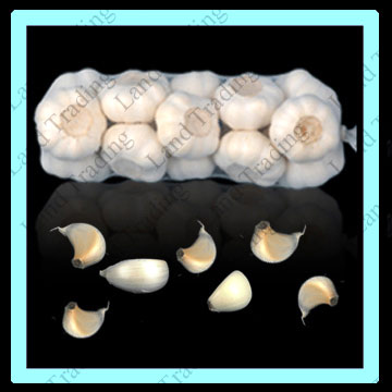  Fresh Prepacked Garlic (L`ail frais préemballés)