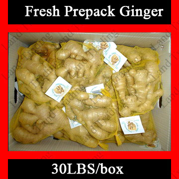 Fresh Ginger (Prepacked) (Gingembre frais (préemballé))