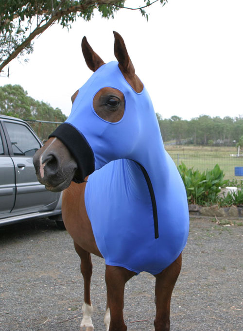  Lycra Hood ( Lycra Hood)
