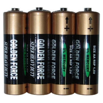  R6P Batteries