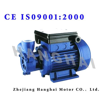 Vortex Pump (Vortex Pump)