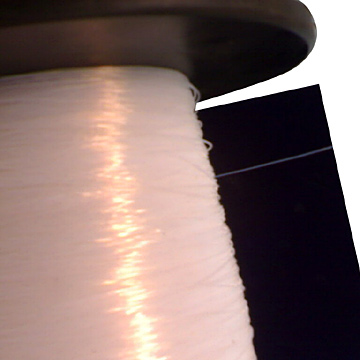  PTFE Monofilament ( PTFE Monofilament)