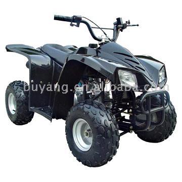  ATV (50cc)