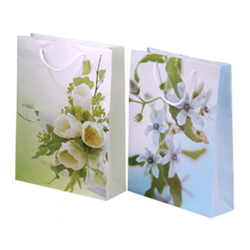  PP Gift Bag ( PP Gift Bag)