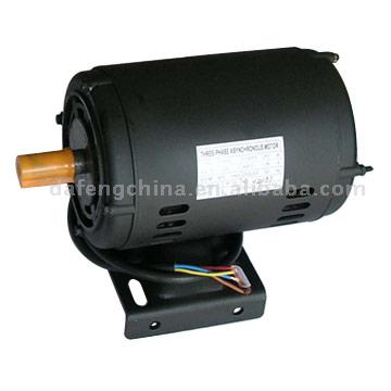  Three Phase Electric Motor ( Three Phase Electric Motor)