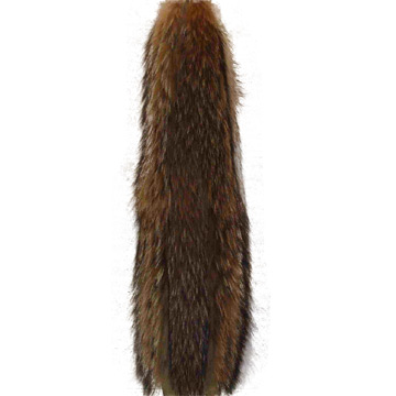  Raccoon Strip ( Raccoon Strip)