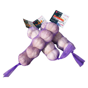 Frischer Knoblauch (Frischer Knoblauch)
