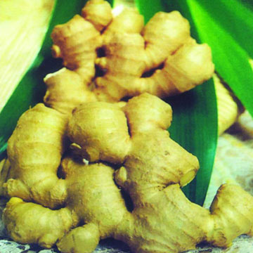  Fresh Ginger (Gingembre frais)