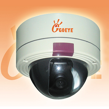  IP Camera (IP-Kamera)