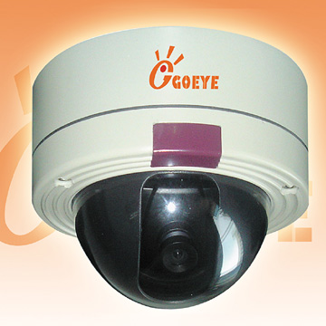  IP Camera (IP-Kamera)