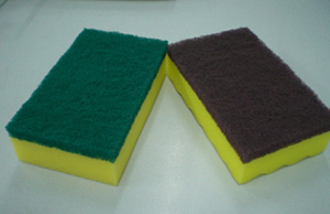  Sponge Scourer ( Sponge Scourer)