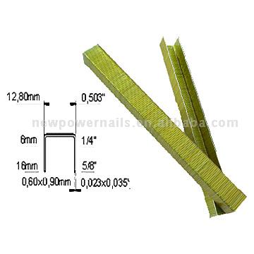  Staple ( Staple)