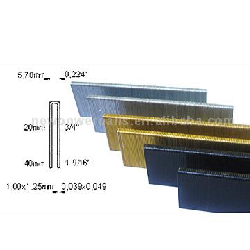  Staple ( Staple)