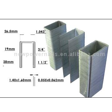  Staple ( Staple)