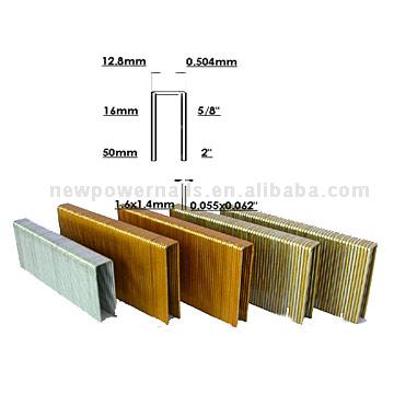  Staples ( Staples)
