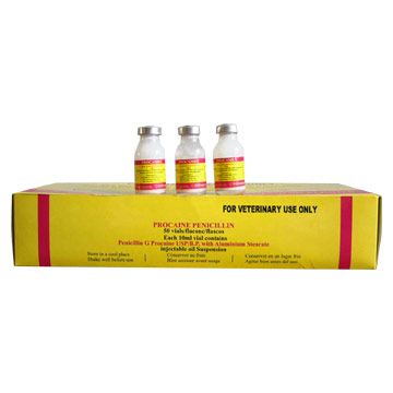  Procaine Benzylpenicillin Injection (Procain Benzylpenicillin Injection)