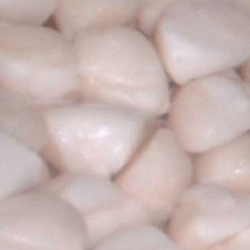  Frozen Boiled Scallop Adductors (Boiled de pétoncles surgelés Adducteurs)