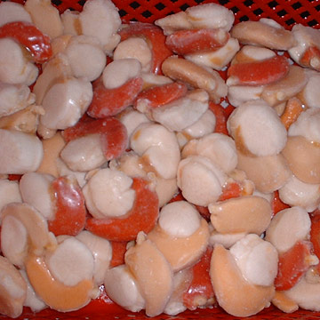 Frozen Jakobsmuscheln mit Roes (Frozen Jakobsmuscheln mit Roes)