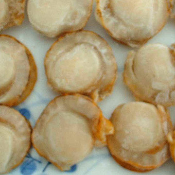  Frozen Scallops (Roe Off) (Замороженные гребешки (косули Off))