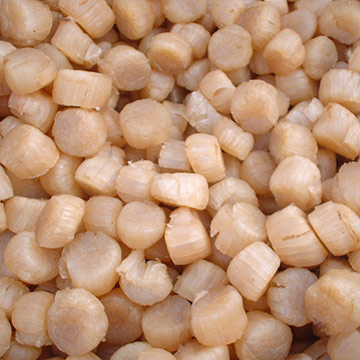  Dried Scallops (Сушеные Гребешки)