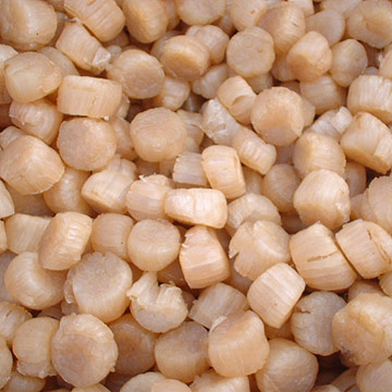  Dried Scallops