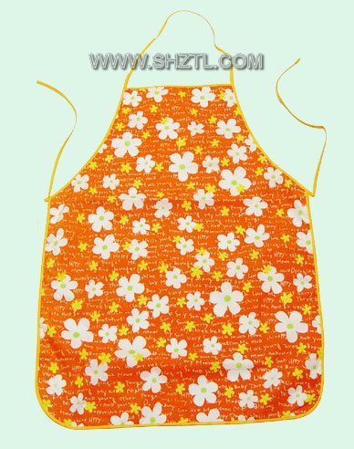 Apron (Apron)