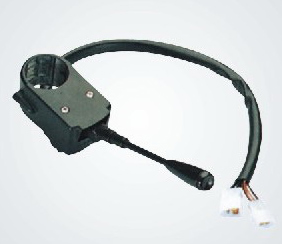 Ignition Model (Ignition Model)