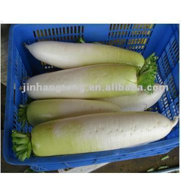  Fresh Preserved Radishes