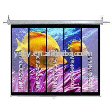  Projection Screen (Dialeinwand)