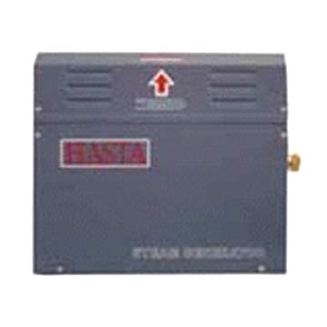  Steam Generator ( Steam Generator)